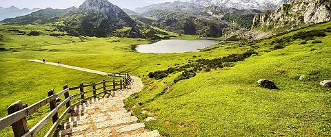 Oviedo